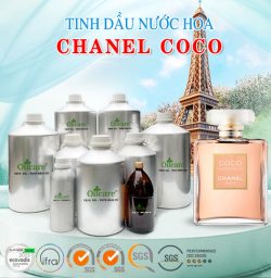 Tinh dầu nước hoa chanel coco bán sỉ lit kg giá rẻ mua ở đâu