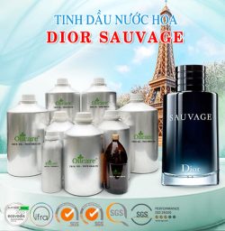 Tinh dầu nước hoa dior sauvage bán sỉ lit kg giá rẻ mua ở đâu