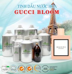 Tinh dầu nước hoa gucci bloom bán sỉ lit kg giá rẻ mua ở đâu