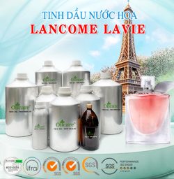 Tinh dầu nước hoa lancome lavie bán sỉ lit kg giá rẻ mua ở đâu