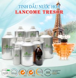 Tinh dầu nước hoa lancome tresor bán sỉ lit kg giá rẻ mua ở đâu