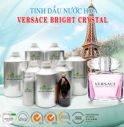 Tinh dầu nước hoa versace bright crystal bán sỉ lit kg giá rẻ mua ở đâu