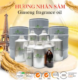 Hương nhân sâm bán sỉ lít kg buôn giá rẻ mua ở đâu